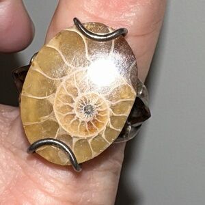 .925 silver Fossil ring with 2 Smokey quartz Statement Ring. Size 6-1/2